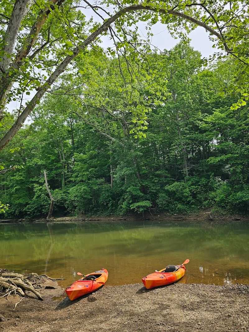 Wildlife Along The Banks