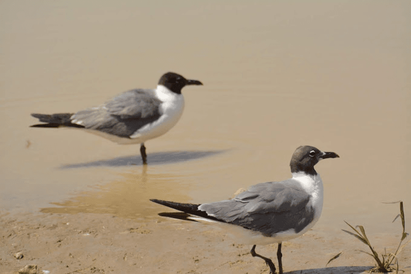 The Beach Secret Nobody Talks About Enough