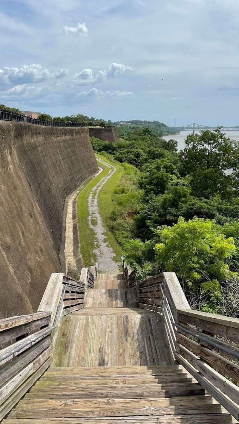 Natchez Bluff Walking Trail
