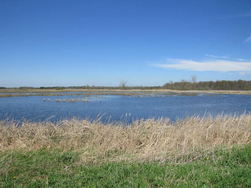Iroquois National Wildlife Refuge