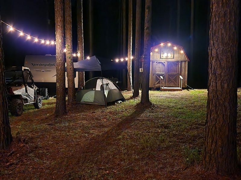 Missihippie Camping And Berries