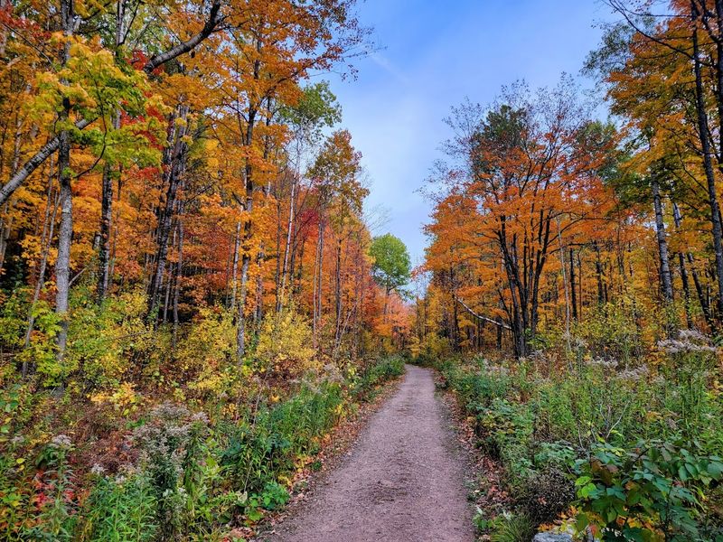 Over 800 Miles Of Trails Lead Through Forests And Wetlands