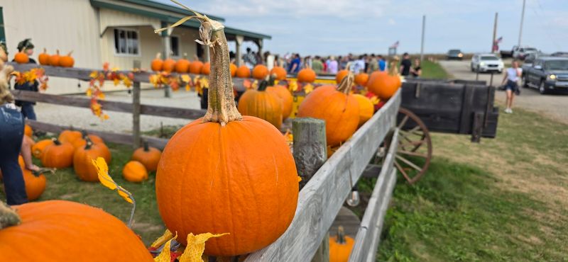 The Punkin' Chunkin' Cannon Is Exactly As Fun As It Sounds