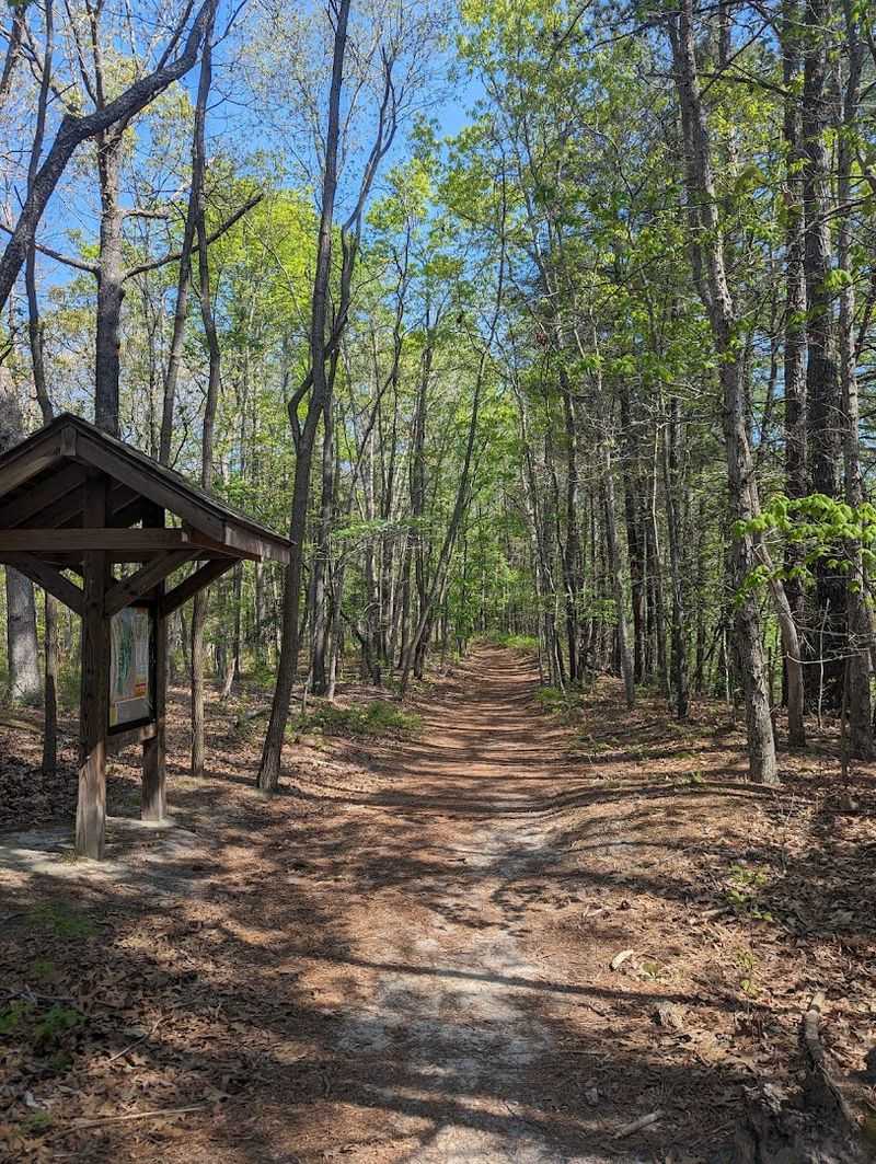 Trails That Actually Go Somewhere Worth Going