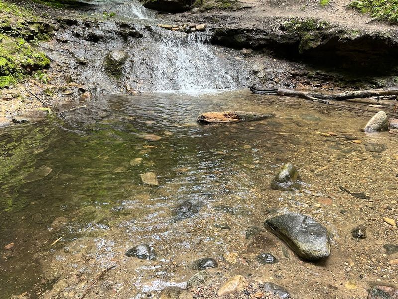 A Small Waterfall Waits At The End Of The Ravine
