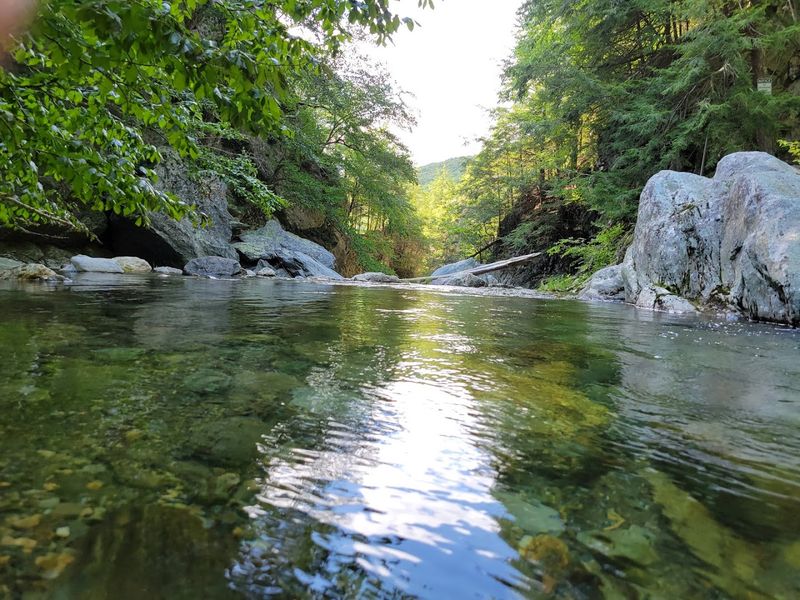 Sage's Ravine Might Be The Most Underrated Natural Spot In All Of Massachusetts