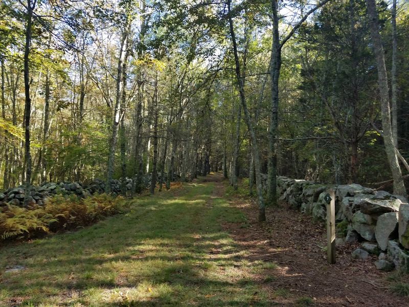 Copicut Woods, Fall River