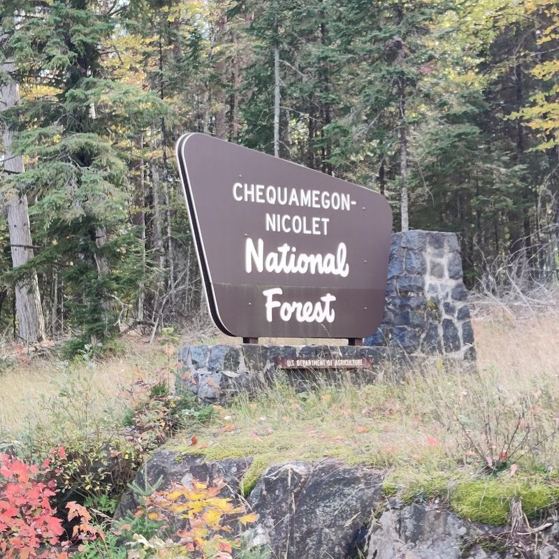 The Forest Spans 11 Counties And 65 Townships