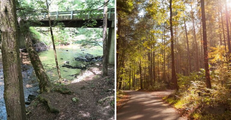 Mountain Streams And Forest Trails Make This Tennessee Spot Worth Discovering In 2026