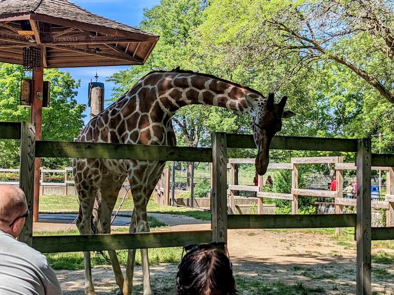Henry Vilas Zoo, Madison, WI