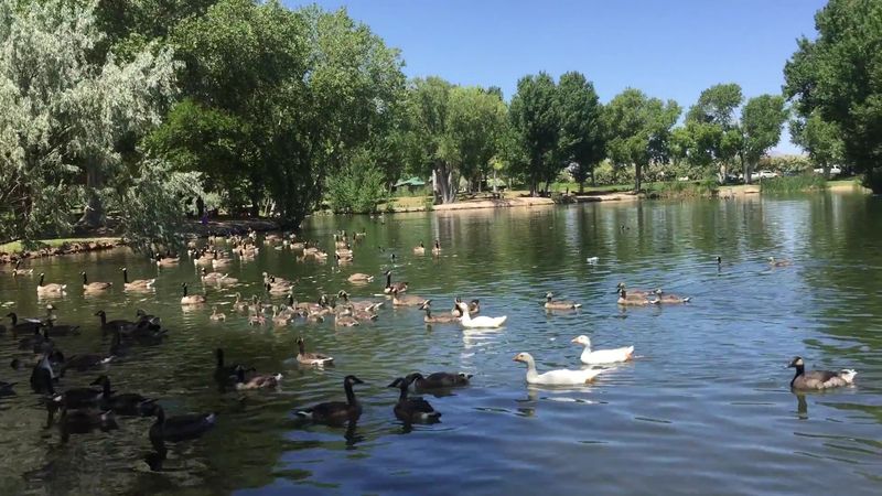 Tule Springs Once Served Travelers Along A Historic Stagecoach Route