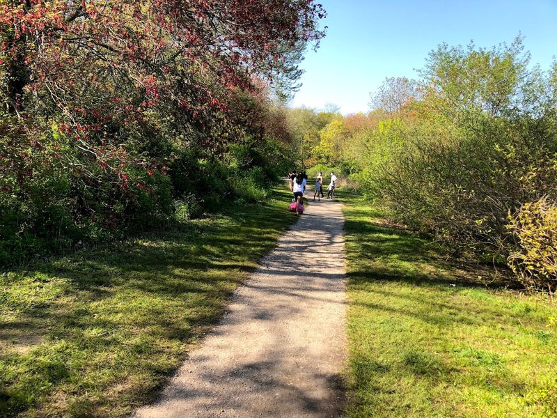 Massapequa Preserve