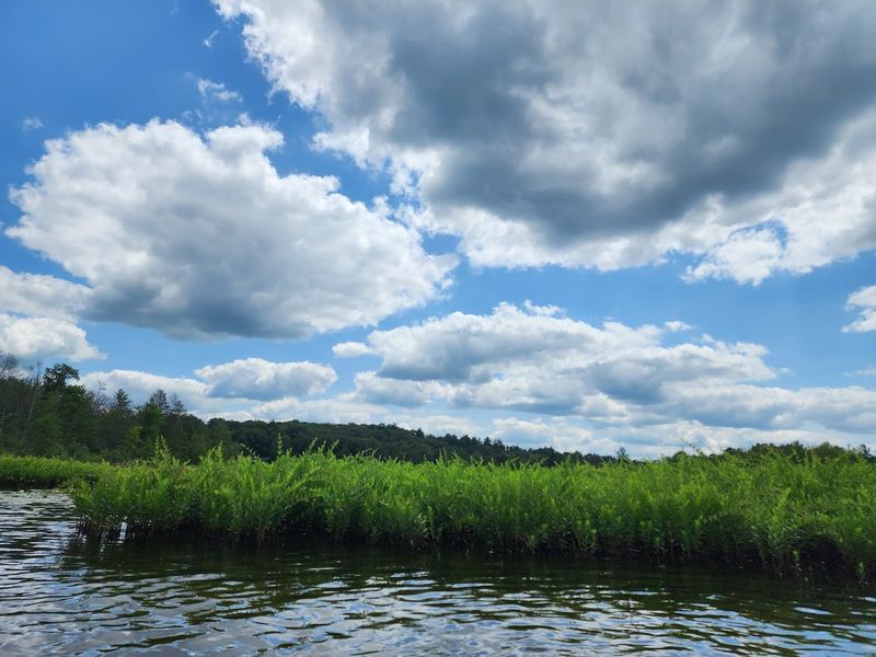 The Spring-Fed Lakes That Start It All