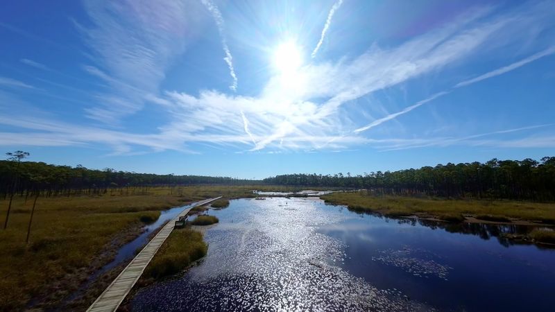 Seasonal Changes Affecting Trail Scenery
