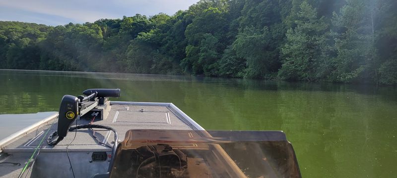Fishing Benefits In The Serene Lake Environment