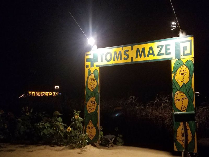 The Man Behind The Maze