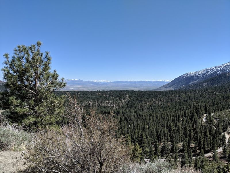 It Is The Largest National Forest In The Lower 48