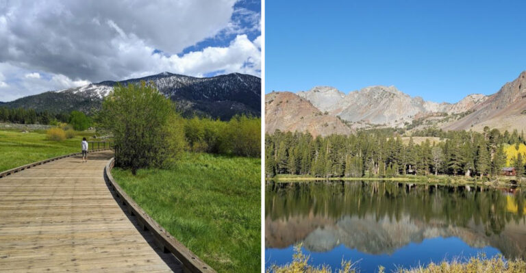 Nevada Has A National Forest Bigger Than Some States And It Is Hiding In Plain Sight