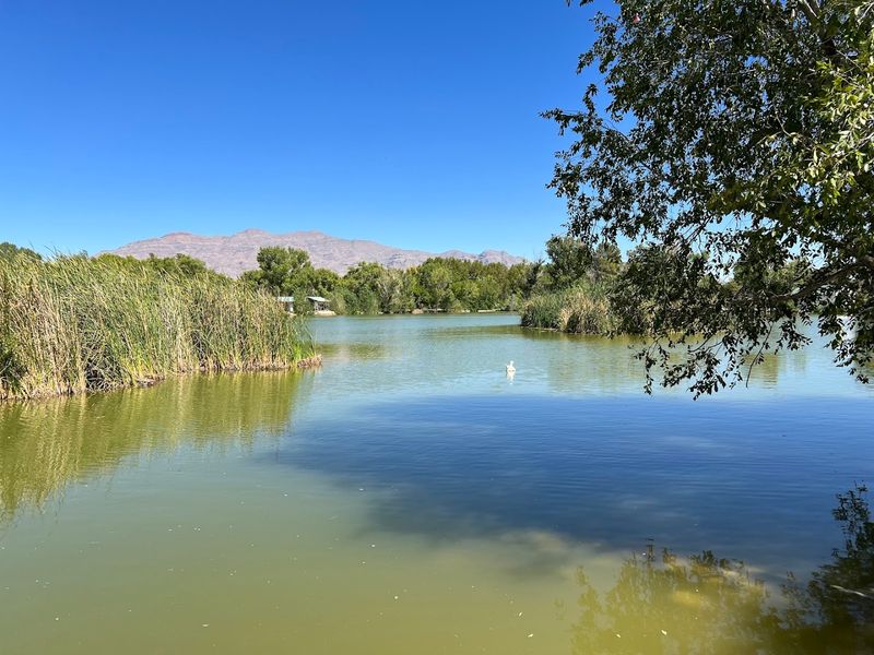 A 680 Acre Oasis Sits Far Beyond The Las Vegas Strip