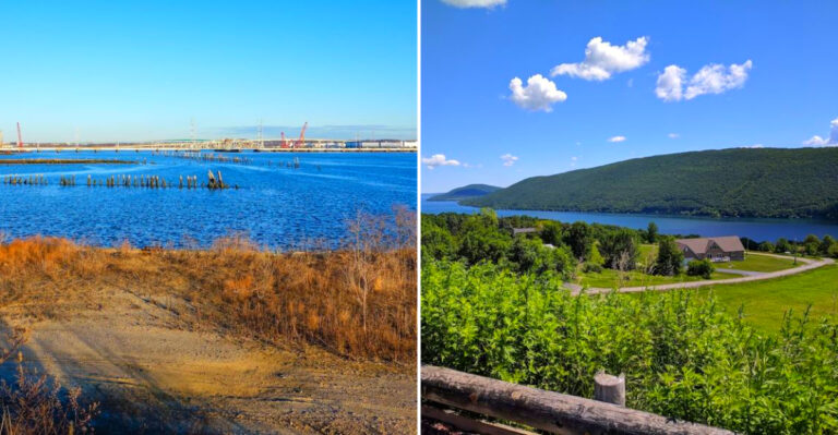 New York Beaches Where You Can Actually Find Ancient Fossils If You Know When To Go In 2026
