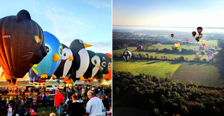New York Has A Free Hot Air Balloon Festival That Has Drawn Over 100,000 People Each Time For 50 Years
