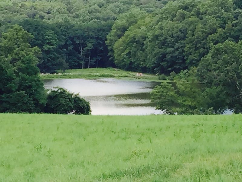 When The Fields Start Glowing