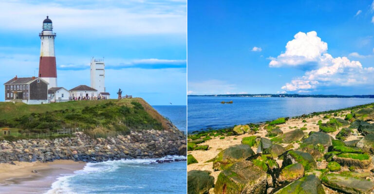 New York Tidal Pools You Can Explore At Low Tide That Feel Like A Private Aquarium In 2026