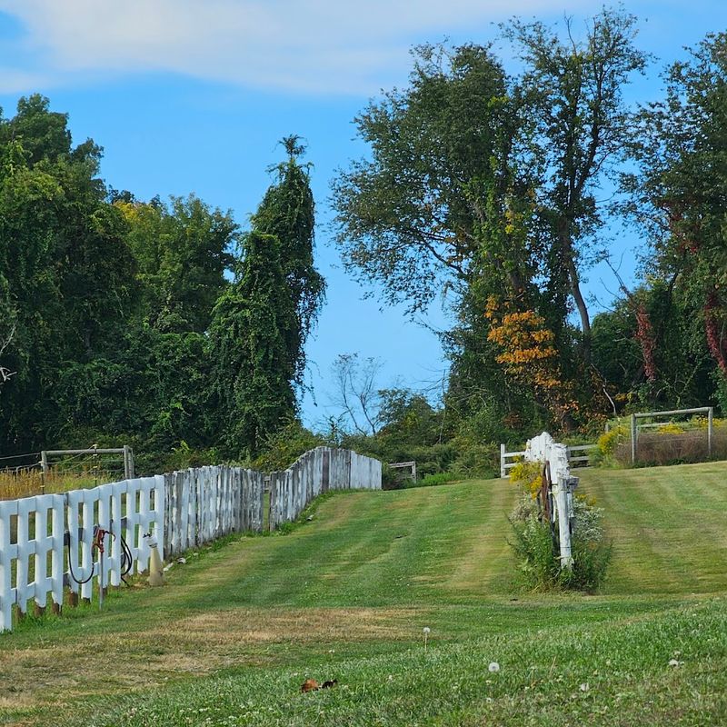 Tilly Foster Mine Road — Brewster, Putnam County