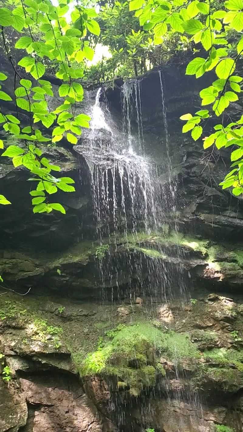 Whiteoak Sink, Great Smoky Mountains National Park, Townsend