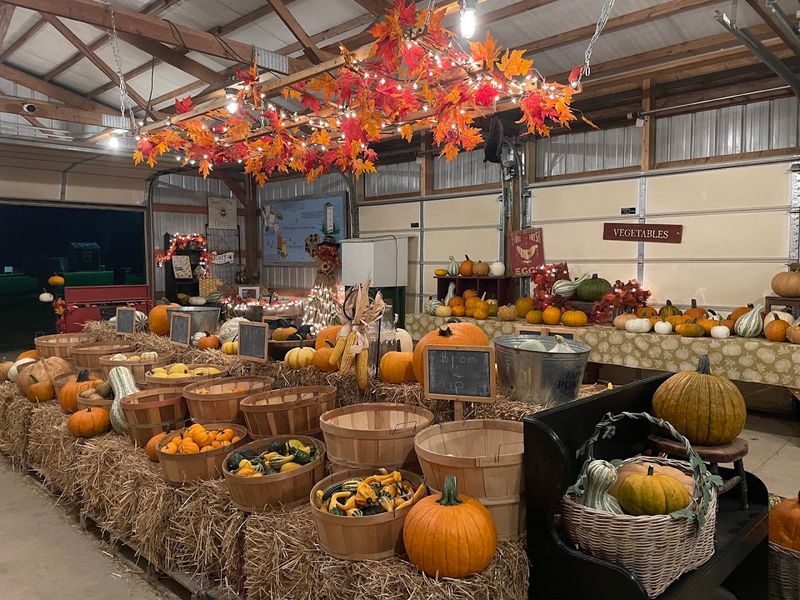 The Pumpkin Patch And What To Bring Home