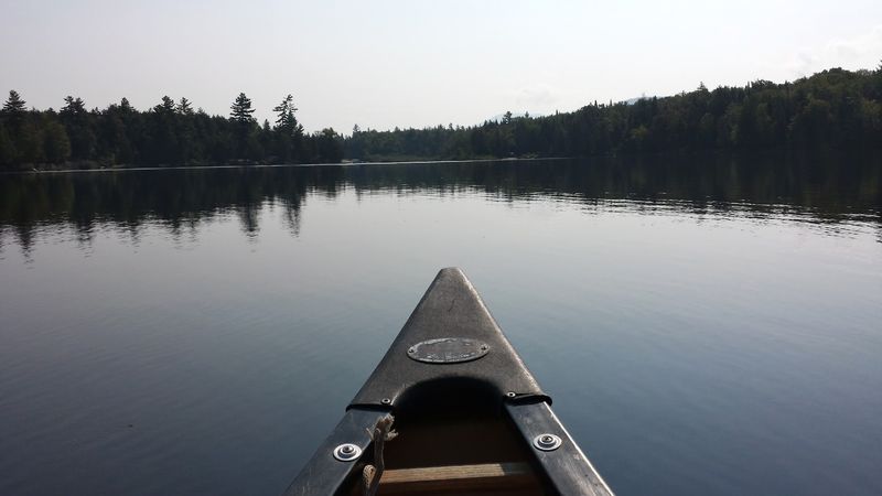 Forked Lake