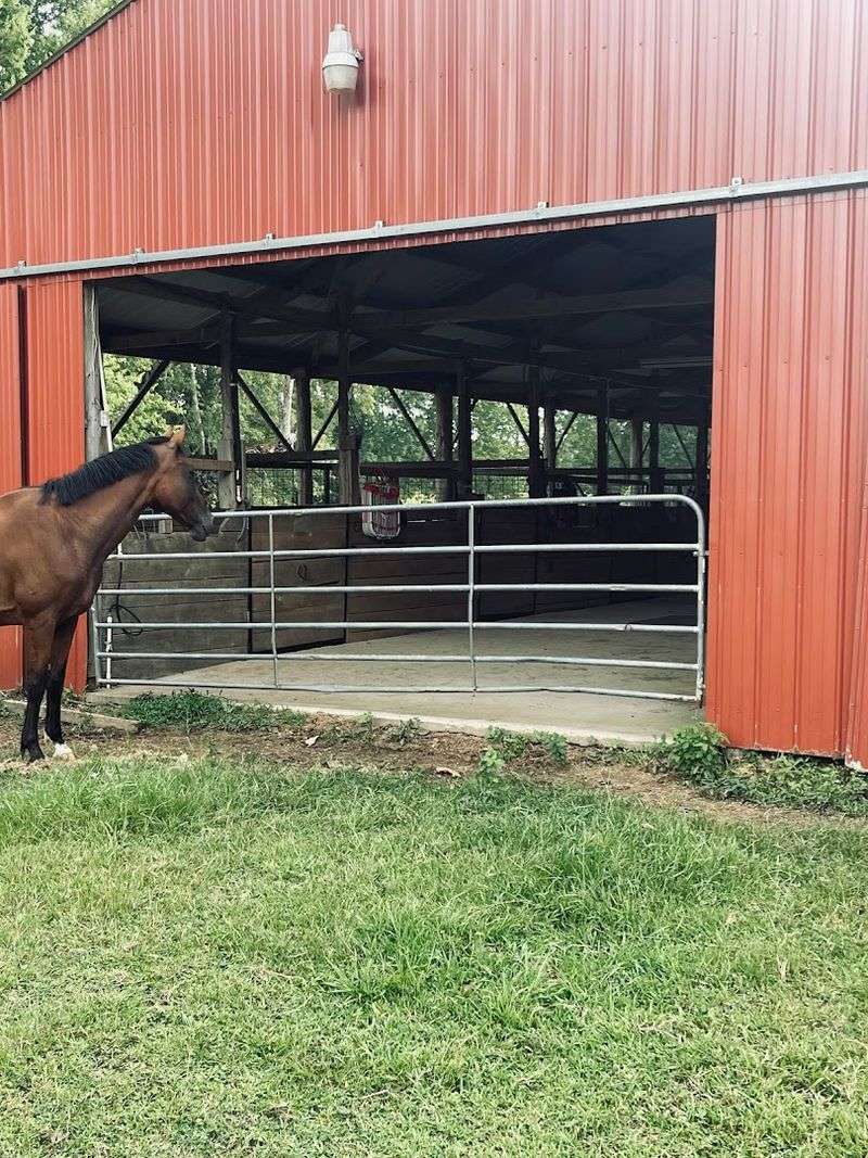 Brewer Equestrian Center