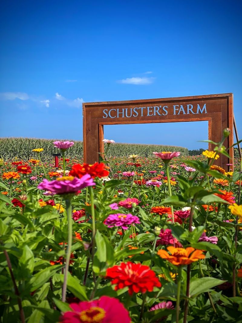 Schuster's Farm Market, Deerfield