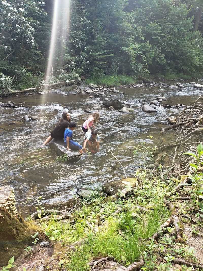 Paint Creek, Near Greeneville, Greene County