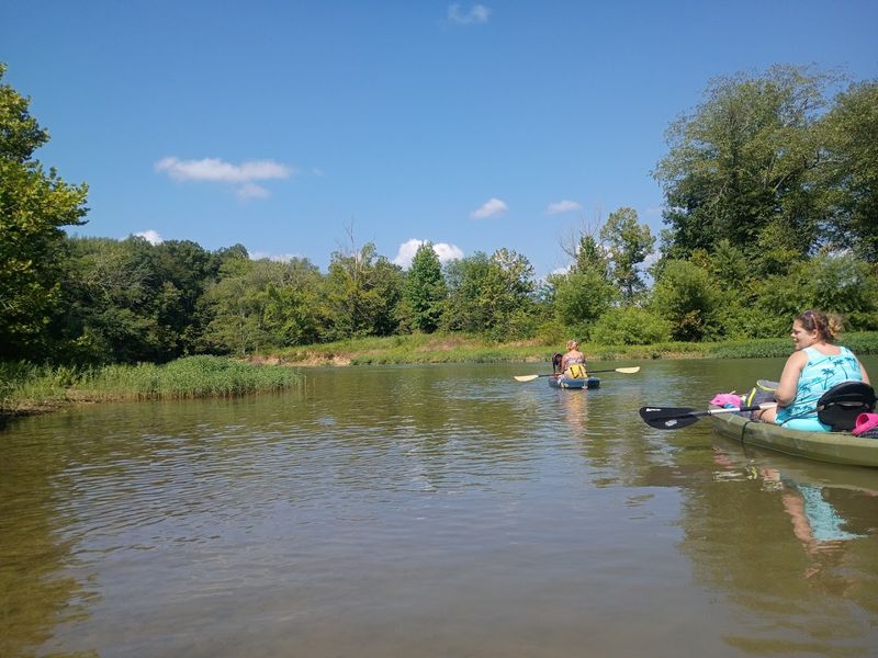 Buffalo River, Flatwoods