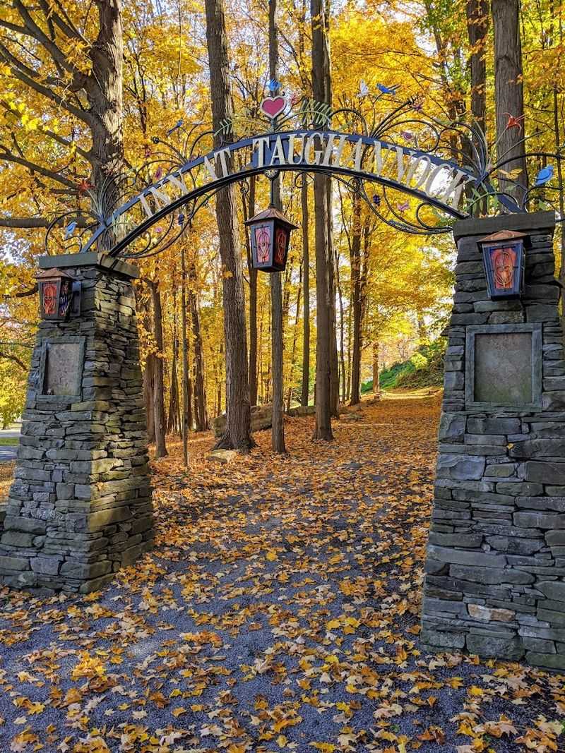 November — Taughannock Falls State Park