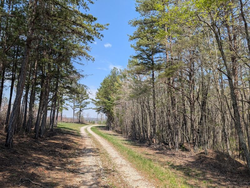 Camping Inside Catoosa Connects You To Something Genuinely Quiet