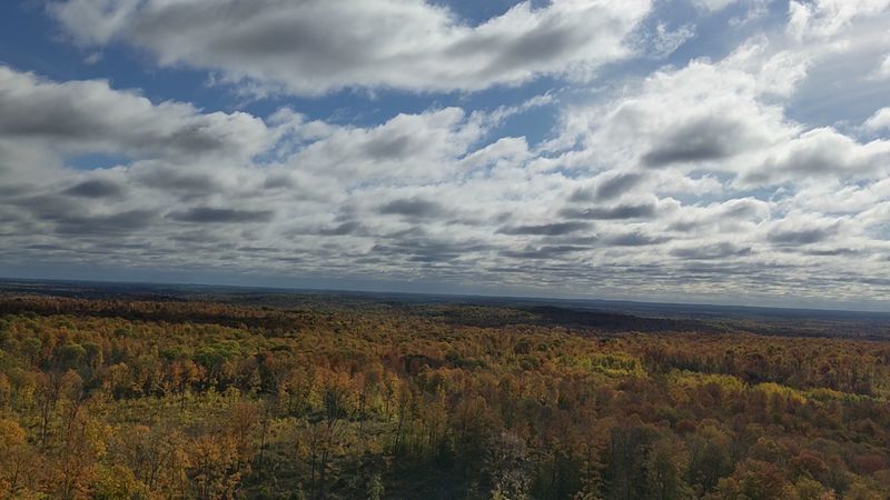 The Mountain Fire Lookout Tower Rewards Climbers With Panoramic Views