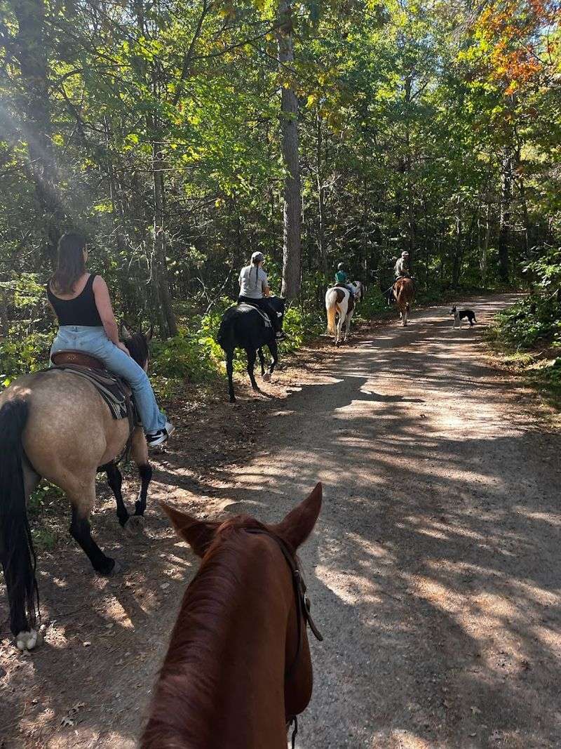 The Ranch Offers Walk-Only And Walk-Trot Ride Options