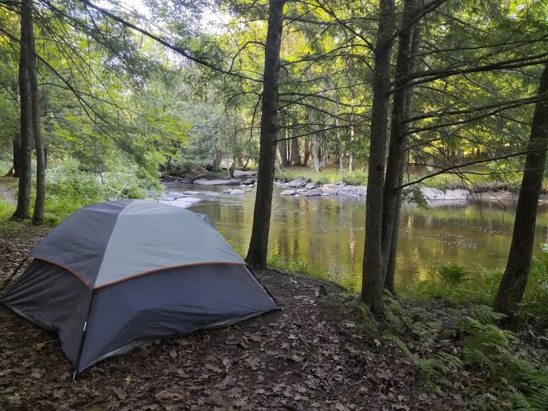 Wooded River Campsites Make The Stay Feel Scenic