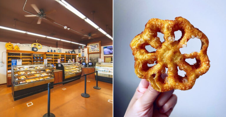 One Cozy Washington Bakery Serves Donuts That Are Ridiculously Hard To Resist