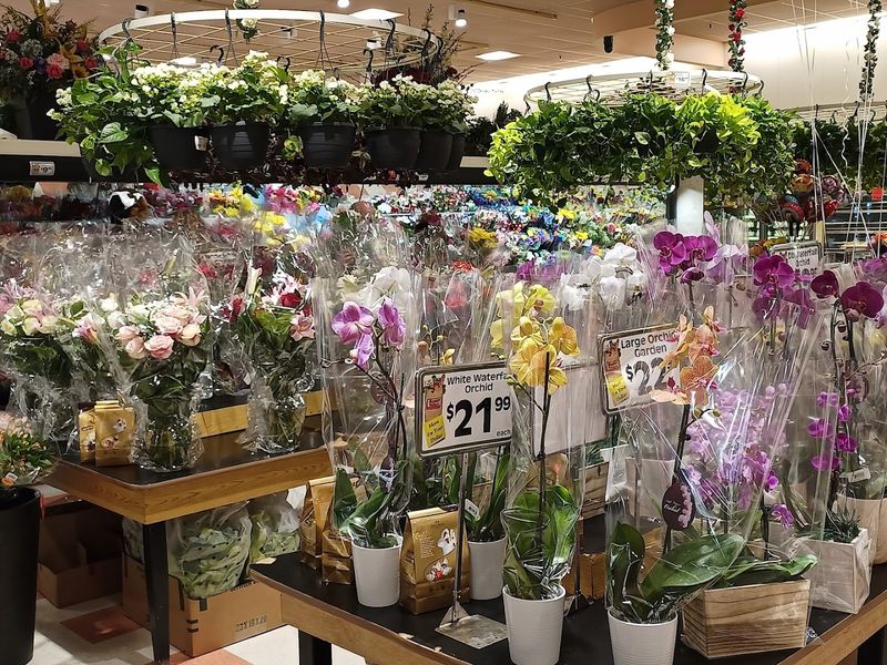 Why Shoppers Keep Coming Back Week After Week