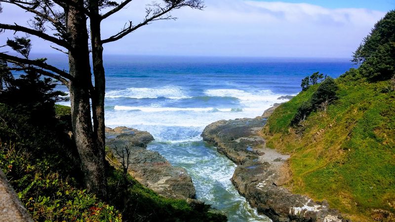 Depoe Bay Whale Watching