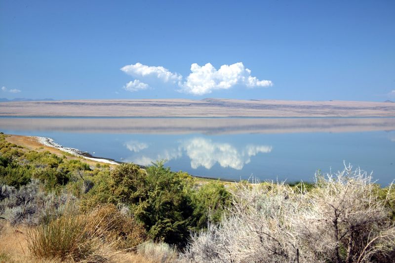What Makes Lake Abert Unlike Any Other Lake In Oregon