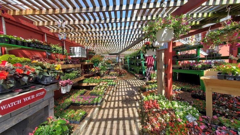 Seasonal Variety And Specialty Fruits And Vegetables