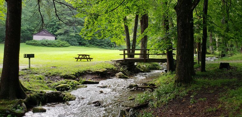 Pittsfield State Forest Campground, Pittsfield