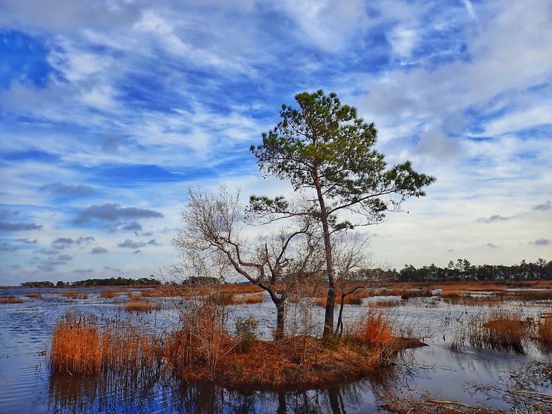 Unique Wildlife And Bird Watching Opportunities