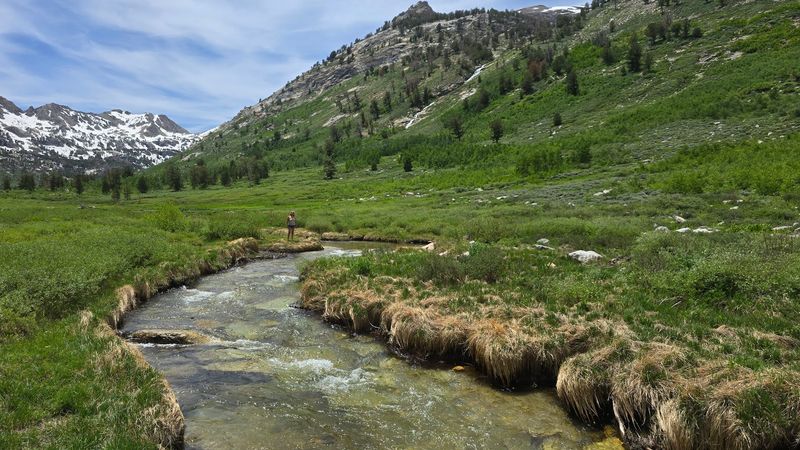 Photography Tips For Capturing Natural Beauty