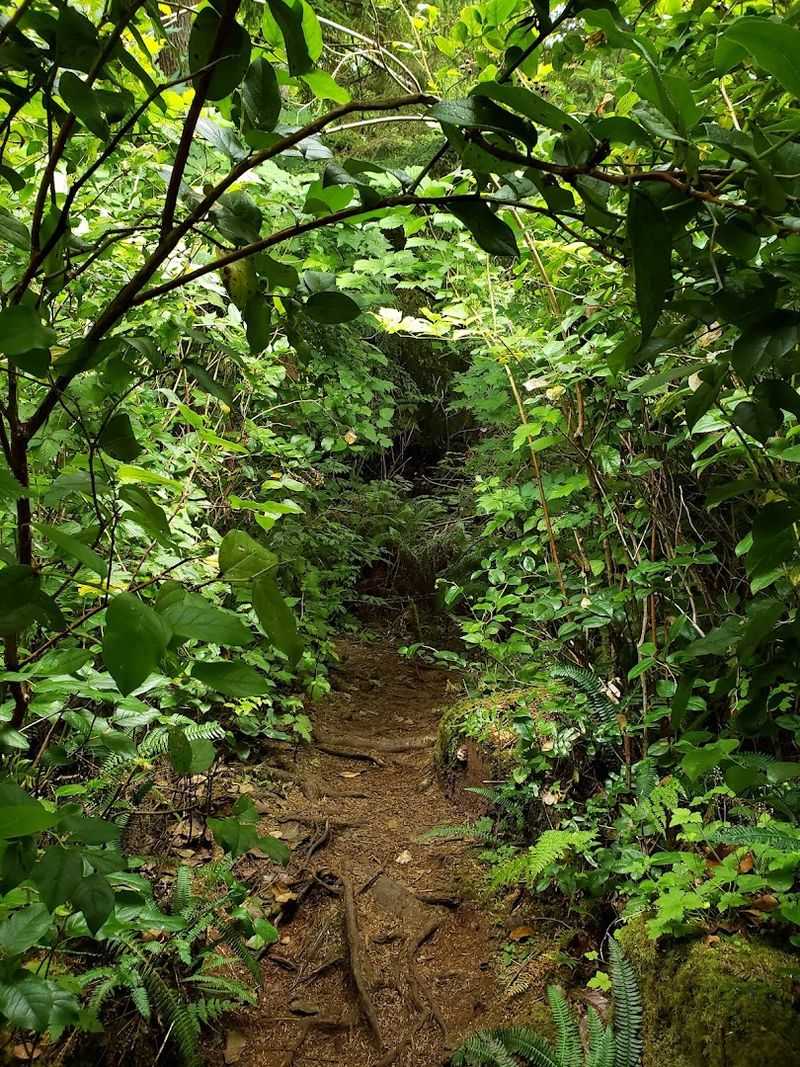 Recommended Gear For Hiking And Exploration