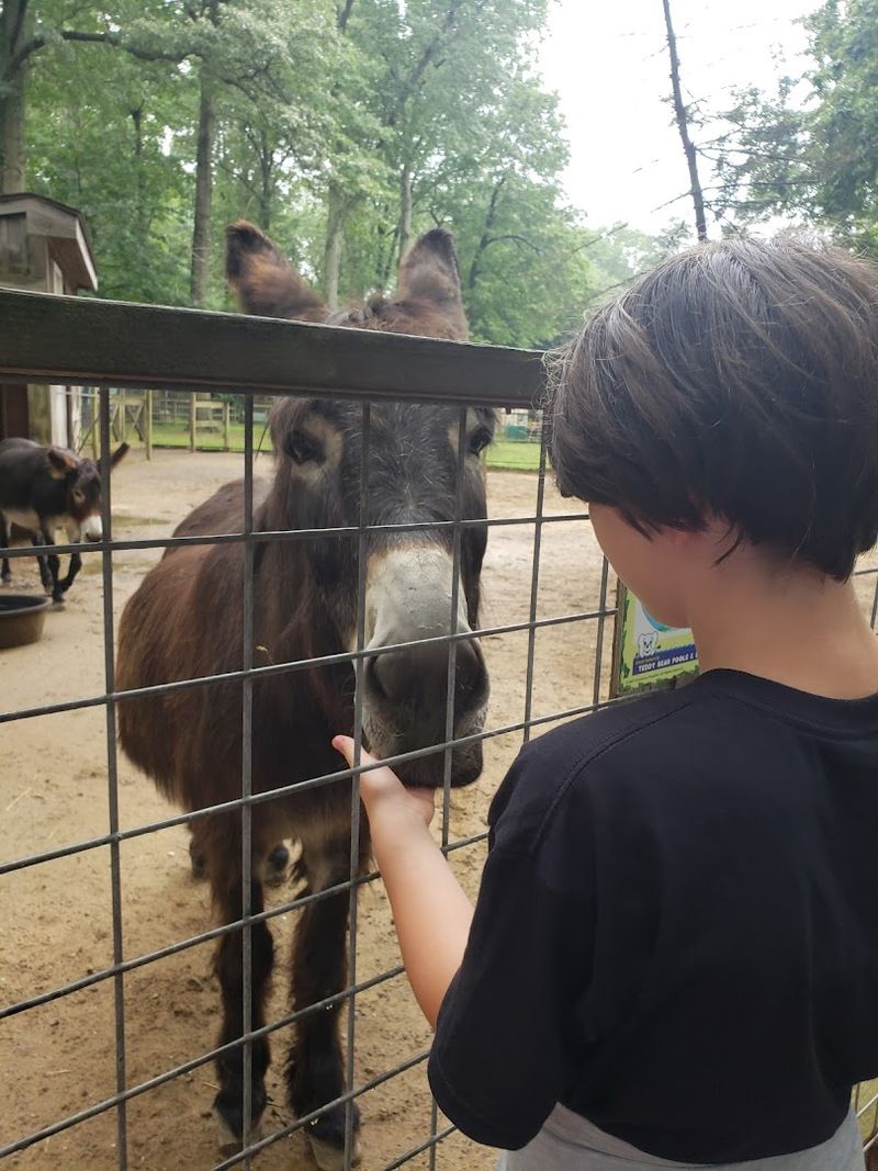 Why Every Animal Here Has A Story Worth Knowing